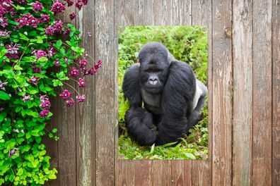 Gartenposter - 60x90 cm - Ein Gorilla spaziert durch die grünen Blätter