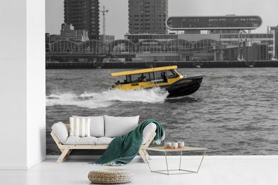 Fototapete - 600x400 cm - Schwarz-Weiß-Foto von einem Boot in der niederländischen St