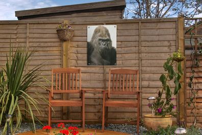 Gartenposter - 30x40 cm - Sonnenstrahlen leuchten in den Augen des Gorillas