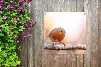 Gartenposter - 100x100 cm - Rotkehlchen - Ast - Baum (Gr. 100x100 cm)