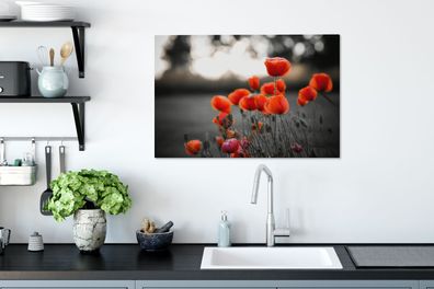 Leinwandbilder - 90x60 cm - Rote Mohnblumen vor schwarzem und weißem Hintergrund