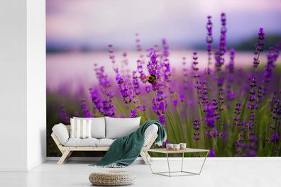 Fototapete - 600x400 cm - Lavendel mit Biene (Gr. 600x400 cm)