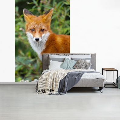 Fototapete - 180x280 cm - Fuchs - Orange - Wald (Gr. 180x280 cm)