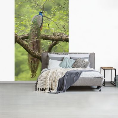 Fototapete - 195x300 cm - Pfau - Federn - Baum (Gr. 195x300 cm)