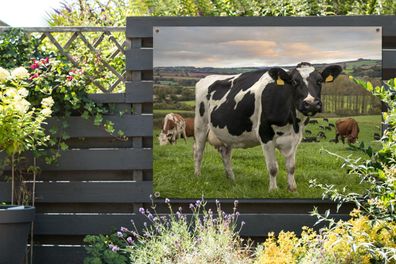 Gartenposter - 120x90 cm - Kuh - Berg - Gras - Tiere (Gr. 120x90 cm)