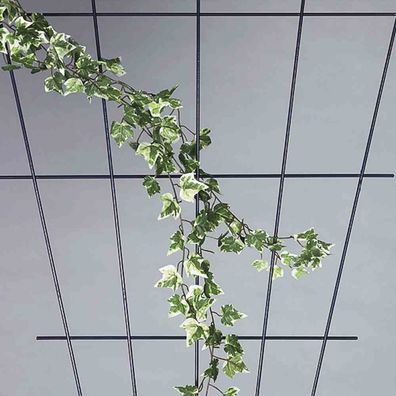 Rosenspalier V-Form 150 x 75 cm hammerschlag mit SB-Reiter HS