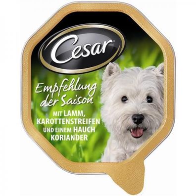 Cesar Schale Empfehlung des Chefkochs - Gruß der Saison 150g (Menge: 14 je ...