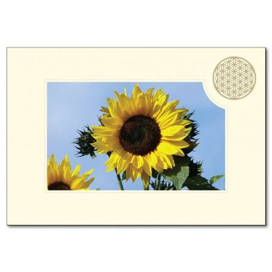 Klappkarte Sonnenblume BLUME DES LEBENS mit Kuvert B 6 Geschenkkarte