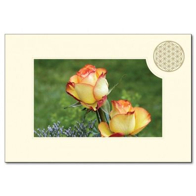 Klappkarte ROSE BLUME DES LEBENS 11,5 x 16,7 cm mit Kuvert B 6 Geschenkkarte