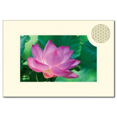 Klappkarte Lotusblüte BLUME DES LEBENS mit Kuvert B 6 Geschenkkarte