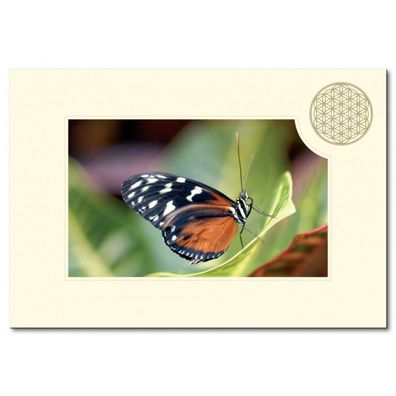 Klappkarte Schmetterling BLUME DES LEBENS mit Kuvert B 6 Geschenkkarte