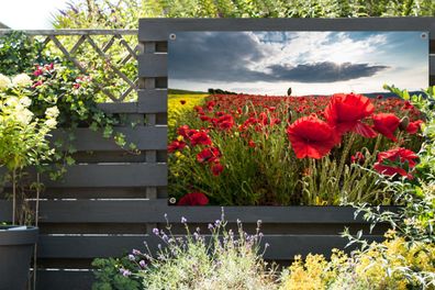 Gartenposter - 180x120 cm - Mohnblumen gegen einen dramatischen stürmischen Himmel