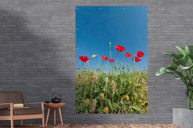 Gartenposter - 120x180 cm - Rote Mohnblumen unter einem strahlend blauen Himmel in de
