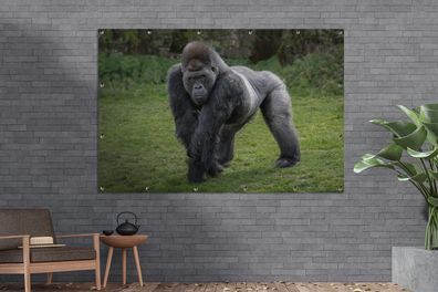 Gartenposter - 180x120 cm - Ein Gorilla geht auf seinen Händen und Beinen