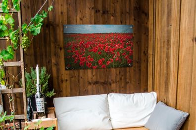 Gartenposter - 90x60 cm - Eine Wiese voller Mohnblumen (Gr. 90x60 cm)