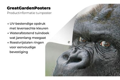 Gartenposter - 40x60 cm - Ein erstaunlicher Gorilla (Gr. 40x60 cm)