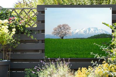 Gartenposter - 120x90 cm - Kirschblüte - Berg - Japan (Gr. 120x90 cm)