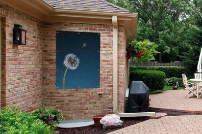 Gartenposter - 90x120 cm - Löwenzahn verliert seinen Samen (Gr. 90x120 cm)