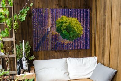 Gartenposter - 120x90 cm - Luftaufnahme eines großen Baumes in einem Lavendelfeld