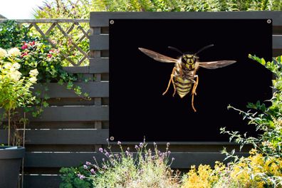 Gartenposter - 120x90 cm - Wespe - Insekten - Porträt (Gr. 120x90 cm)