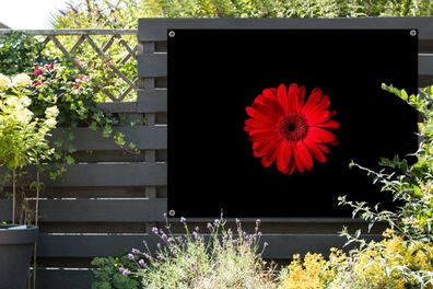 Gartenposter - 120x90 cm - Blume - Rot - Makro (Gr. 120x90 cm)