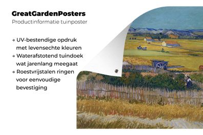 Gartenposter - 80x60 cm - Die Ernte - Vincent van Gogh (Gr. 80x60 cm)