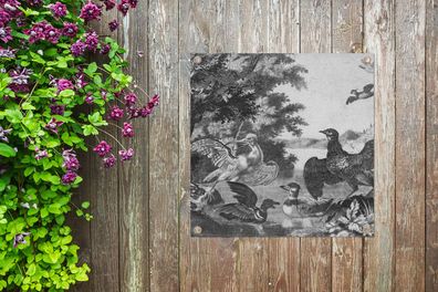 Gartenposter - 50x50 cm - Wasservögel und ein Hund - Melchior d'Hondecoeter