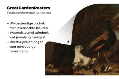 Gartenposter - 50x50 cm - Eine Henne mit Pfauen und einem Truthahn - Melchior d'Honde