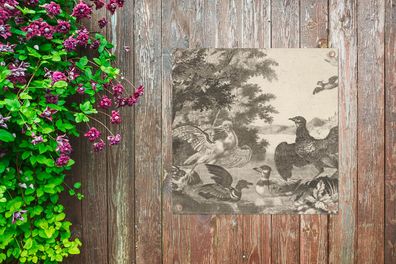 Gartenposter - 100x100 cm - Wasservögel und ein Hund - Melchior d'Hondecoeter