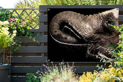 Gartenposter - 120x90 cm - Porträt eines Elefanten mit seinem Rüssel im Maul