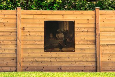 Gartenposter - 100x100 cm - Stillleben mit Pfauen - Gemälde von Rembrandt van Rijn