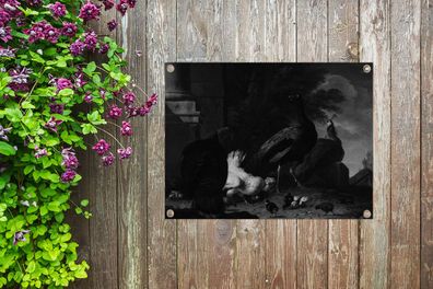 Gartenposter - 80x60 cm - Eine Henne mit Pfauen und einem Truthahn - Melchior d'Honde