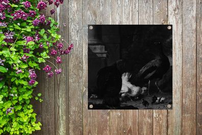 Gartenposter - 100x100 cm - Eine Henne mit Pfauen und einem Truthahn - Melchior d'Hon