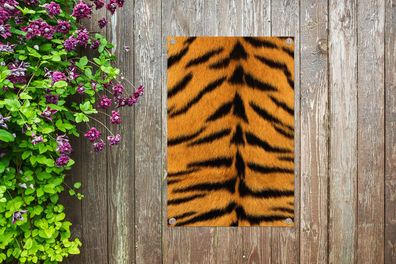 Gartenposter - 40x60 cm - Mantel - Tiger - Tiere (Gr. 40x60 cm)