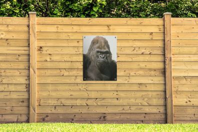 Gartenposter - 60x80 cm - Sonnenstrahlen leuchten in den Augen des Gorillas