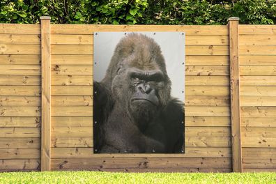 Gartenposter - 120x160 cm - Sonnenstrahlen leuchten in den Augen des Gorillas