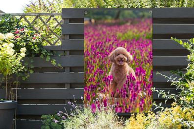 Gartenposter - 80x120 cm - Hund - Blumen - Lavendel - Frühling (Gr. 80x120 cm)