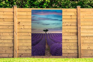 Gartenposter - 120x180 cm - Lavendelfeld bei Sonnenuntergang mit Baum am Horizont