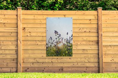 Gartenposter - 80x120 cm - Nahaufnahme von Lavendel bei Sonnenuntergang