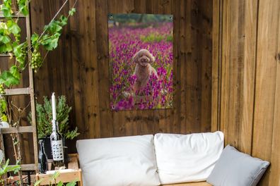 Gartenposter - 60x90 cm - Hund - Blumen - Lavendel - Frühling (Gr. 60x90 cm)