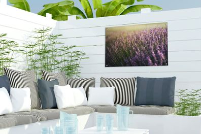Gartenposter - 60x40 cm - Lavendel auf einem Feld (Gr. 60x40 cm)