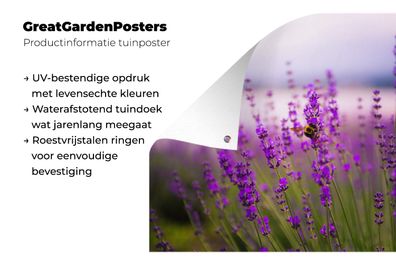 Gartenposter - 90x60 cm - Lavendel mit Biene (Gr. 90x60 cm)