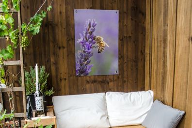 Gartenposter - 60x90 cm - Biene auf Lavendel (Gr. 60x90 cm)