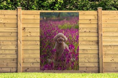 Gartenposter - 120x180 cm - Hund - Blumen - Lavendel - Frühling (Gr. 120x180 cm)