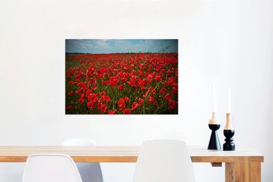 Glasbilder - 90x60 cm - Eine Wiese voller Mohnblumen (Gr. 90x60 cm)
