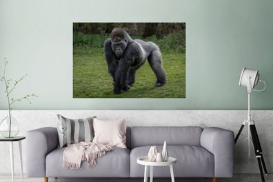 Glasbilder - 120x80 cm - Ein Gorilla geht auf seinen Händen und Beinen