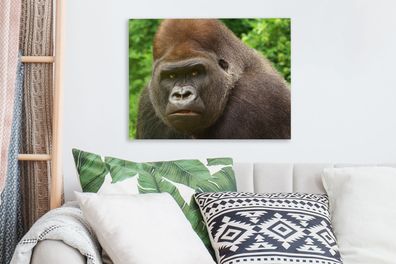 Leinwandbilder - 40x30 cm - Nahaufnahme des Gesichts eines männlichen Gorillas