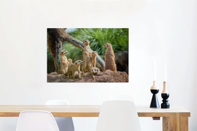 Leinwandbilder - 60x40 cm - Erdmännchen - Familie - Tiere (Gr. 60x40 cm)