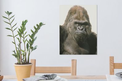 Leinwandbilder - 30x40 cm - Sonnenstrahlen leuchten in den Augen des Gorillas