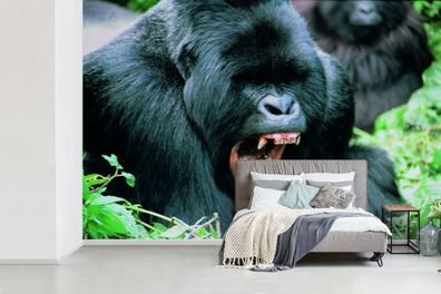 Fototapete - 600x400 cm - Ein klaffender Gorilla in einer grünen Umgebung